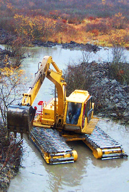 Wetland Restoration