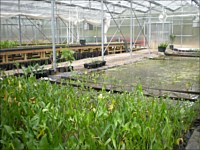 Nursery