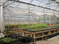 Nursery