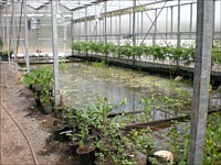 Nursery