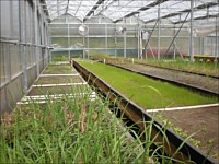 Nursery