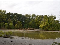 Miakonda Boy Scout Camp, Toledo, Ohio