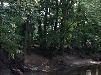 University of Toledo