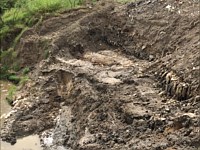 Texas A&M Landfill