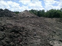 Texas A&M Landfill