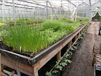 Nursery