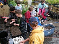 About Workshops